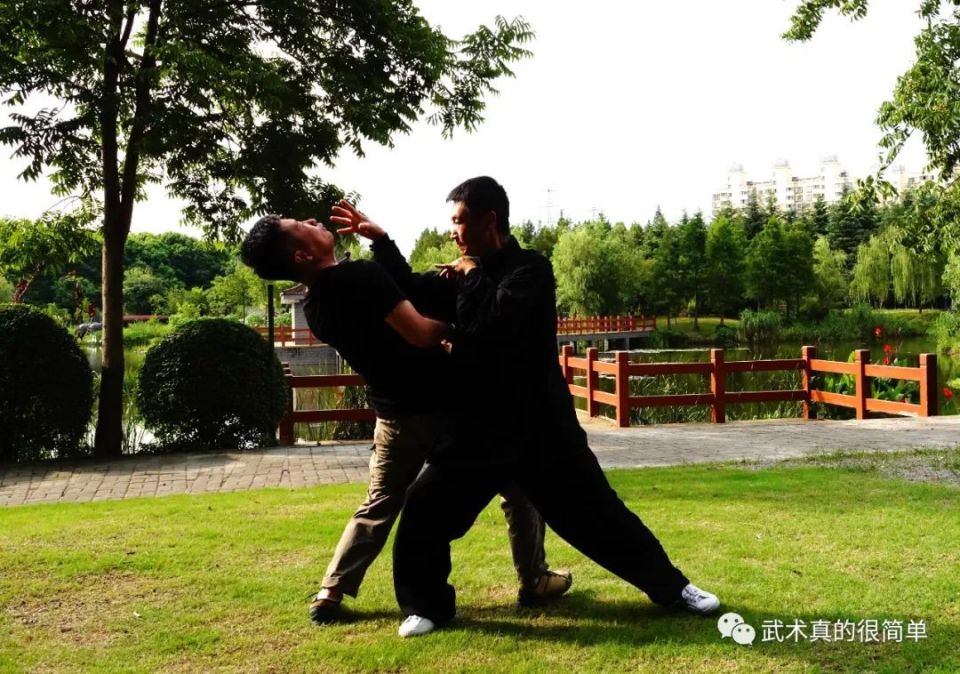 先不采用第, 中培养出的, bVHv 先不采用第, 中培养出的, bVHv