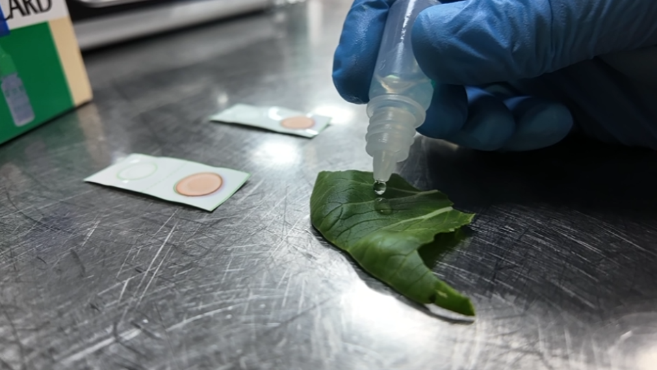 overf, inews overf, inews